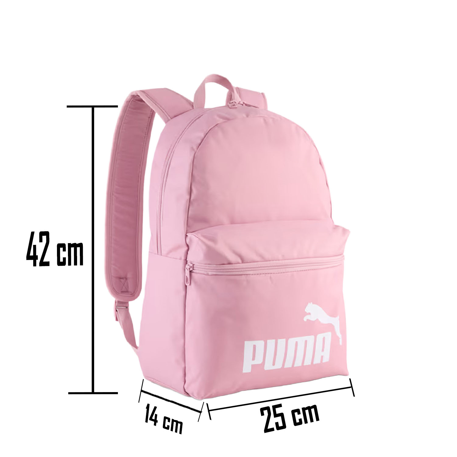 png_1500x1500_65782492