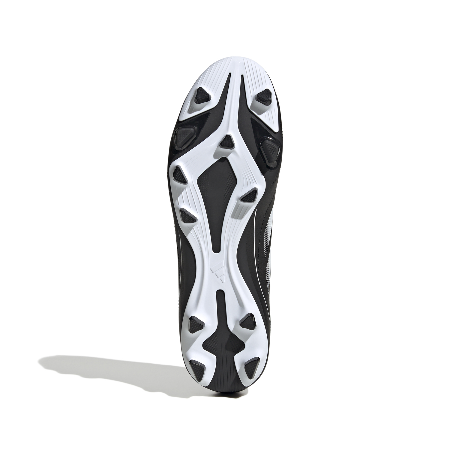 png_1500x1500_62848199